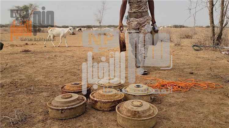 عاجل: فرق الهندسة العسكرية تنتزع حقل ألغام حوثي من محيط قرية العواء بحجة