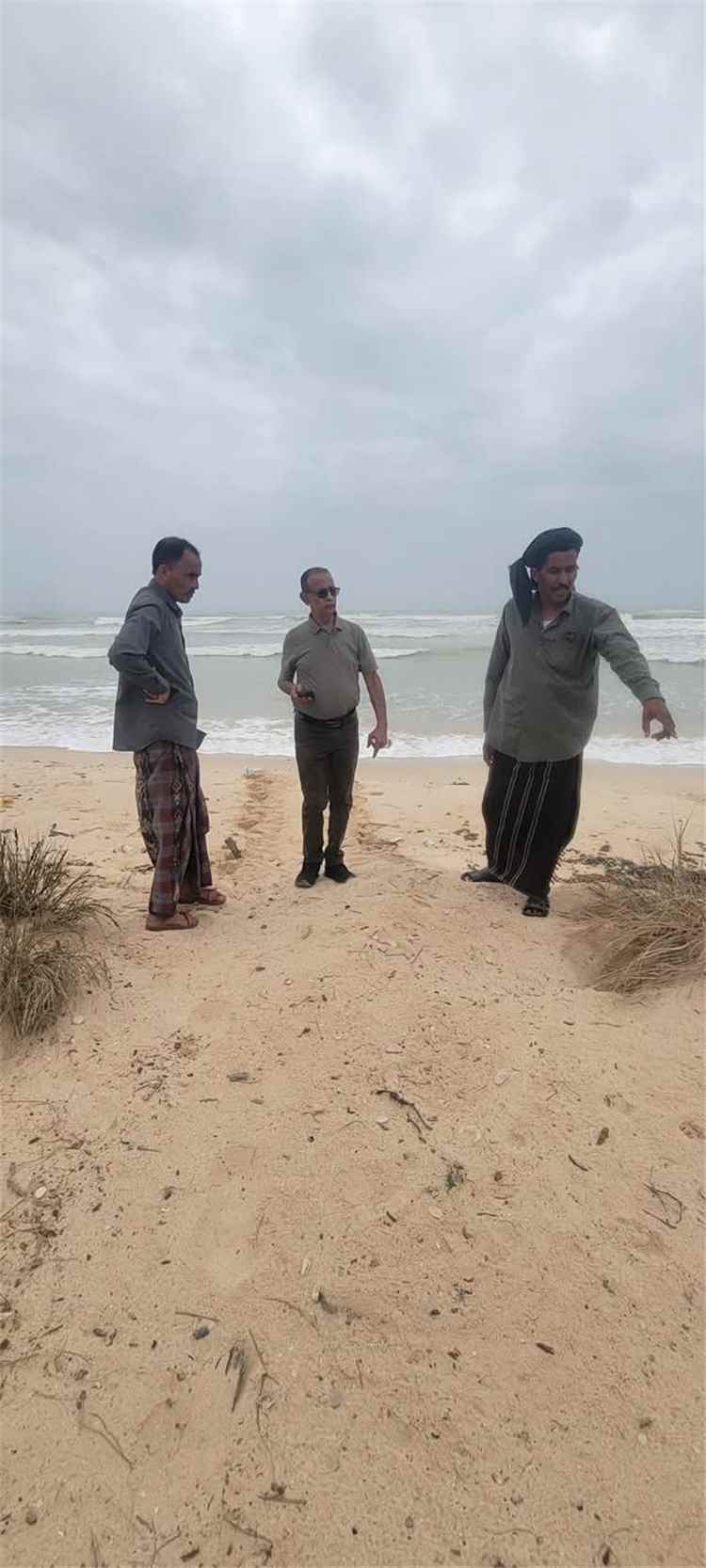 فريق من وزارة المياه والبيئة تتفقد موقع الدمر وغابة المانجروف بالمهرة