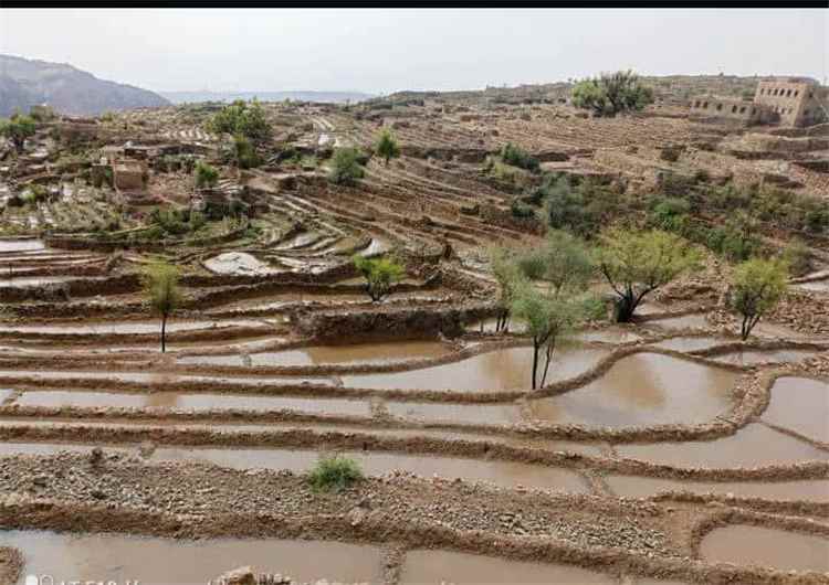 أمطار غزيرة تروي ردفان في لحج