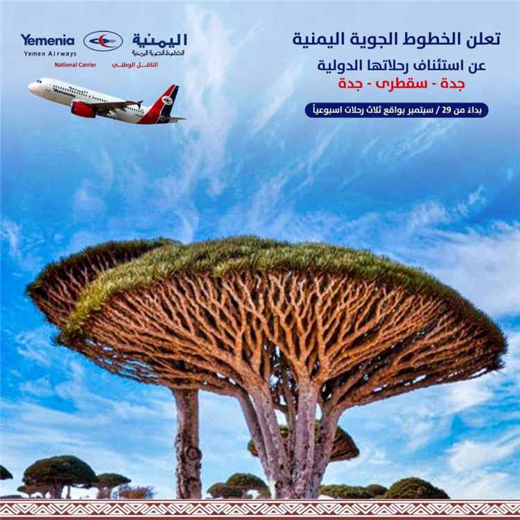 خبر سار لابناء سقطرى تعلن عنها الخطوط الجوية اليمنية(تعرف عليه)