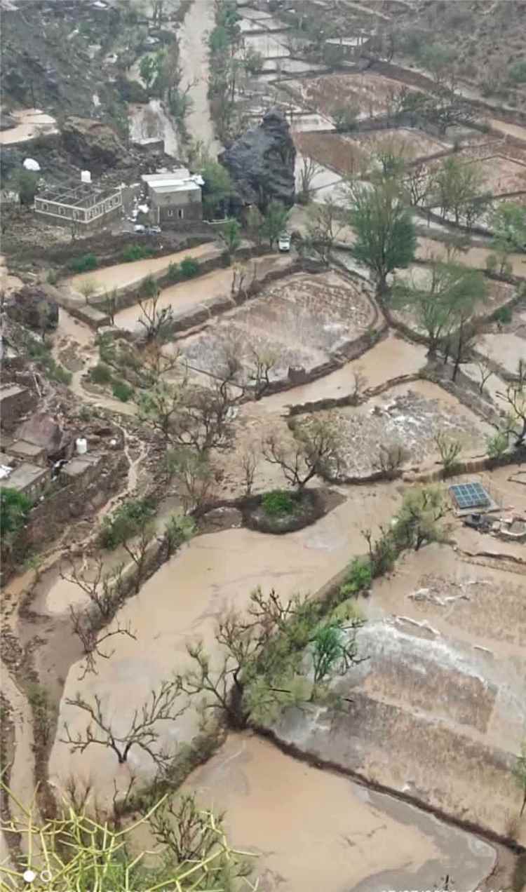 بعد عامين من الجفاف.. أمطار غزيرة تنعش وادي الشرف بمديرية الأزارق في الضالع