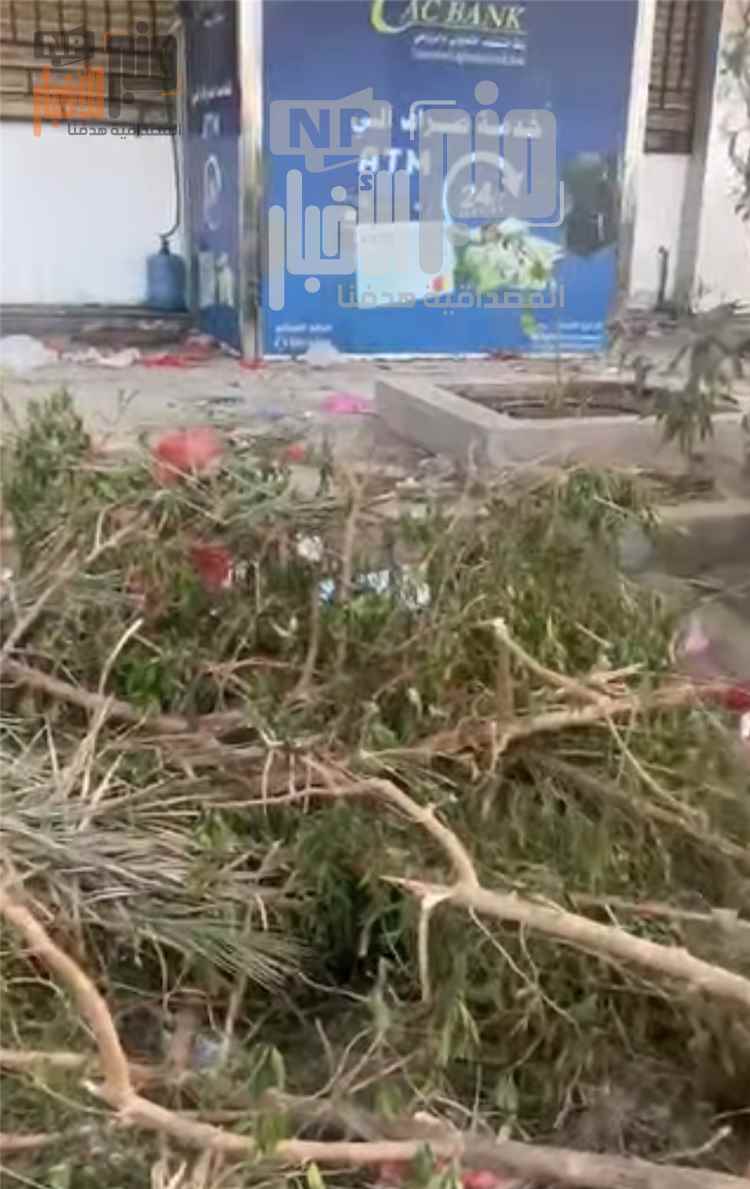 عقب نهائي كأس العالم.. هكذا يبدو الشارع عقب تخريب متعمد للأشجار والنخيل في جولة كالتكس يثير استياءً واسعاً بعدن(صور)