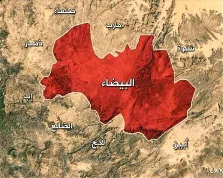 قبائل البيضاء تؤيد دعوة القيادة الشرعية
