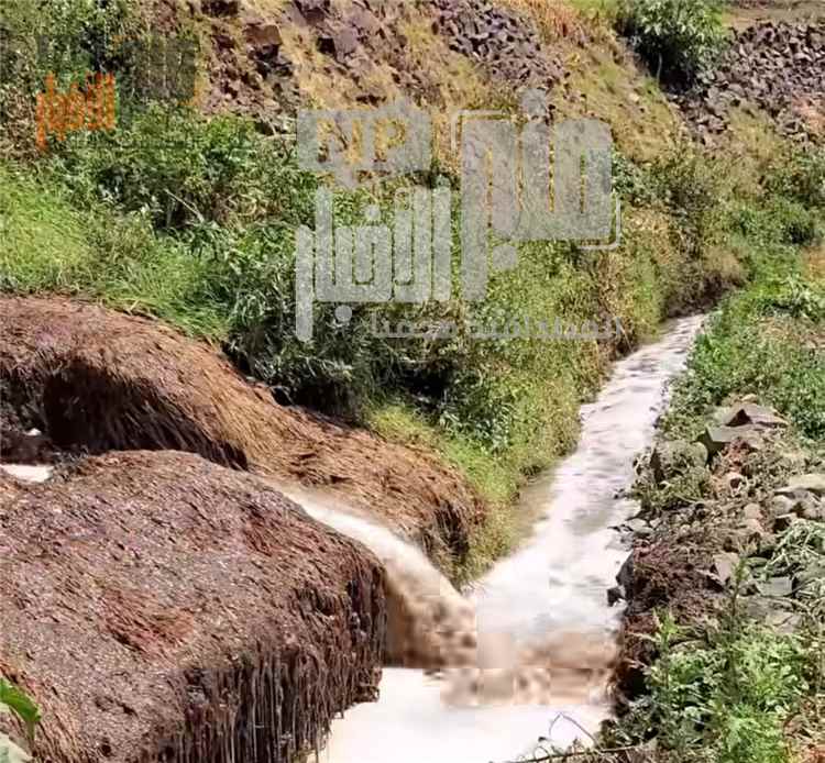 اتهامات بتلوث زراعي في يريم تثير مخاوف صحية.. ومطالبات بفتح تحقيق عاجل(صور مرعبة)