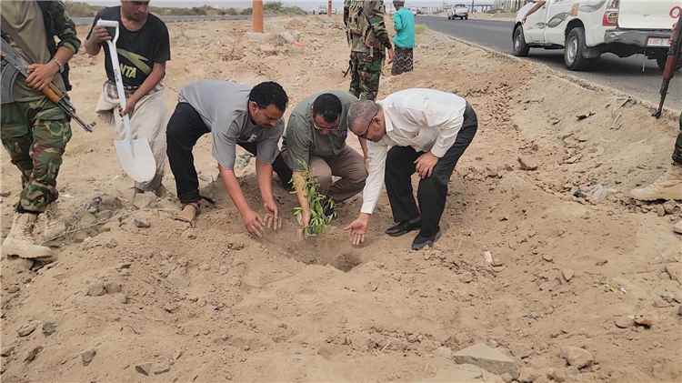 "الداؤودي" يدشن تشجير الطريق العام لمديرية البريقة