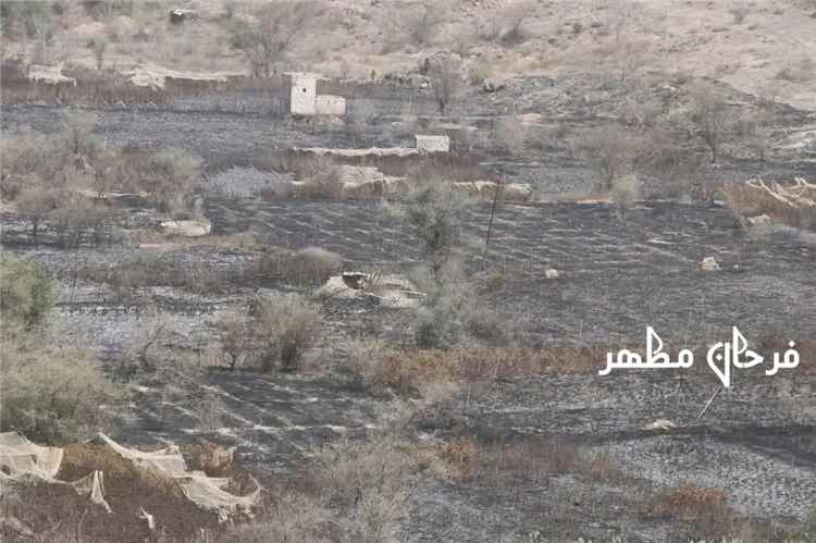 زوة مريس … حين تصبح الأرض وجعا