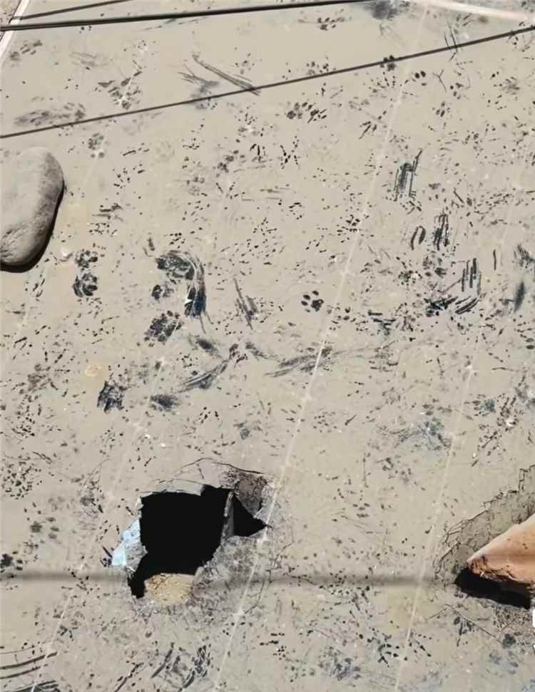 الناشط سامي غرامة الكلدي يكشف تعرض منزله لاعتداء وتخريب منظومته الشمسية في خور مكسر