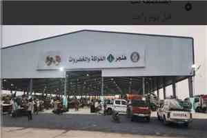 اتهامات للحو..ثيين بالاستيلاء على أراضٍ خاصة في الحديدة.