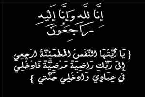 مدير مؤسسة مياه عدن يعزي قائد قوات درع الوطن ومدير عام الواجبات بوفاة ابن عمهم.