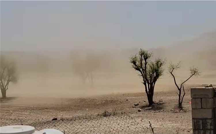 عاجل: عواصف “حبيل الريدة” تضرب لحج مع اقتراب أيام اشتداد حرارة الصيف