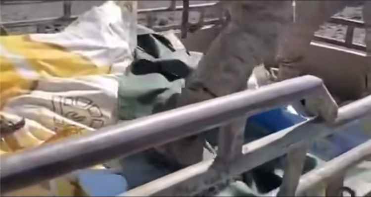 عاجل: أولى غنائم العمالقة الجنوبية عقب استعادة ذوباب.. مشاهد حصرية من قلب المنطقة