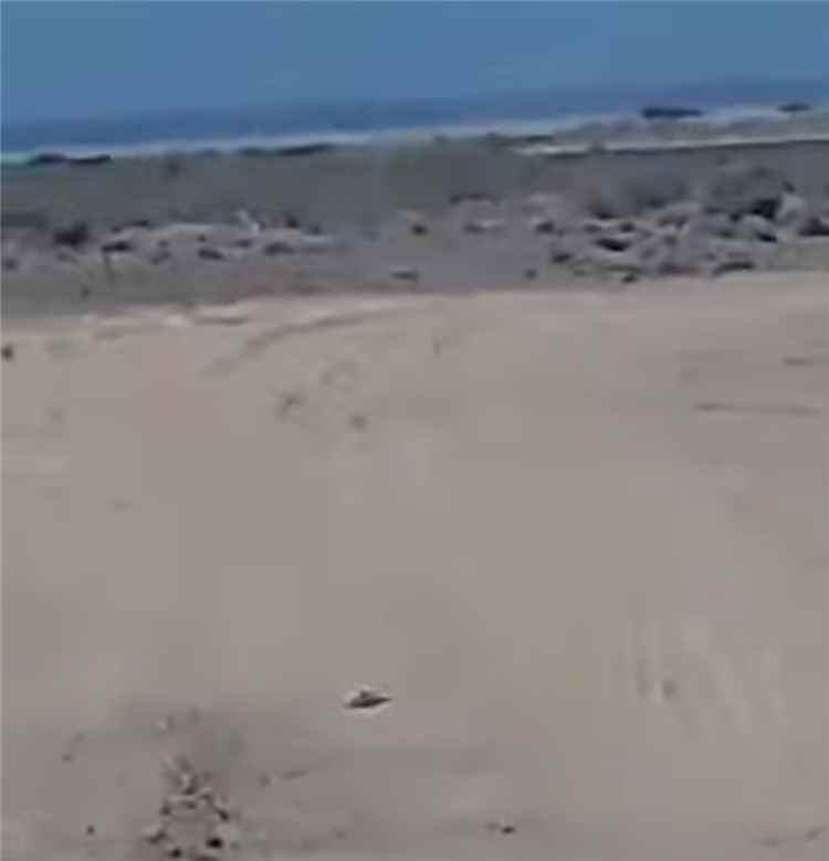 عاجل: شاهد أول صورة من داخل مطار ذوباب عقب سيطرة العمالقة الجنوبية عليه