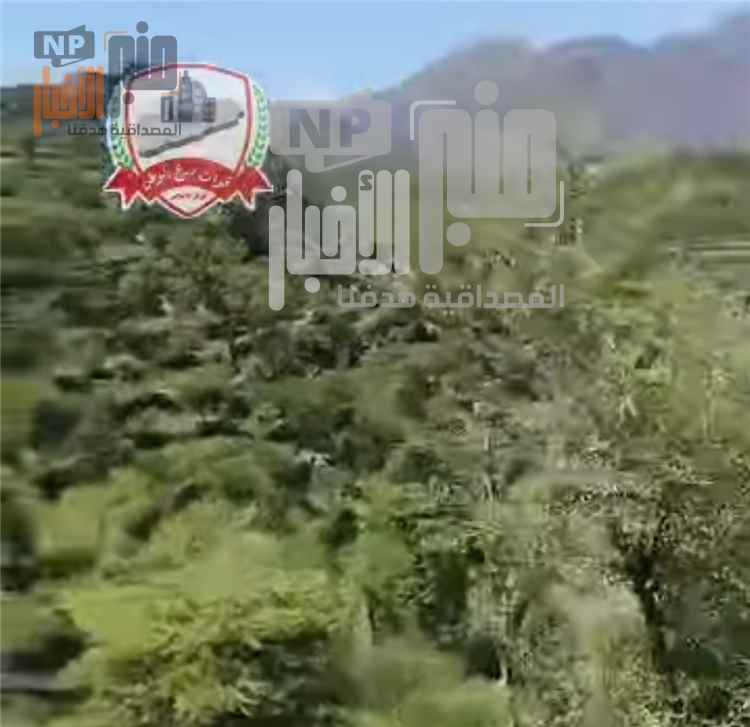 عاجل:عقب دخولها رسمياً الى تعز..قوات درع الوطن تعلن سيطرتها على أعلى قمة في جبل حبشي(صورة أولية)