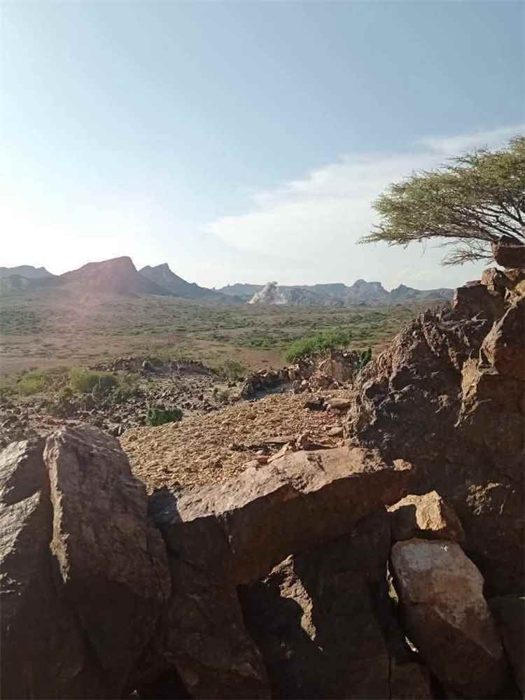 إليكم آخر تحديث ميداني لجبهات القـ ـتال في النسق الحدودي لقبائل الصبيحة