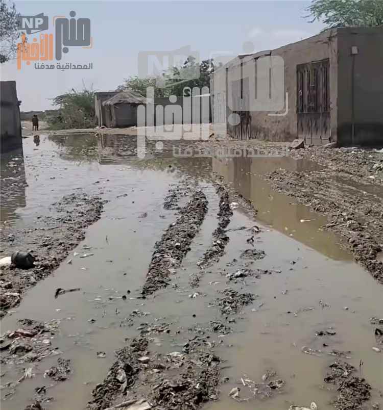 شاهد صورة مرعبة من الحديدة