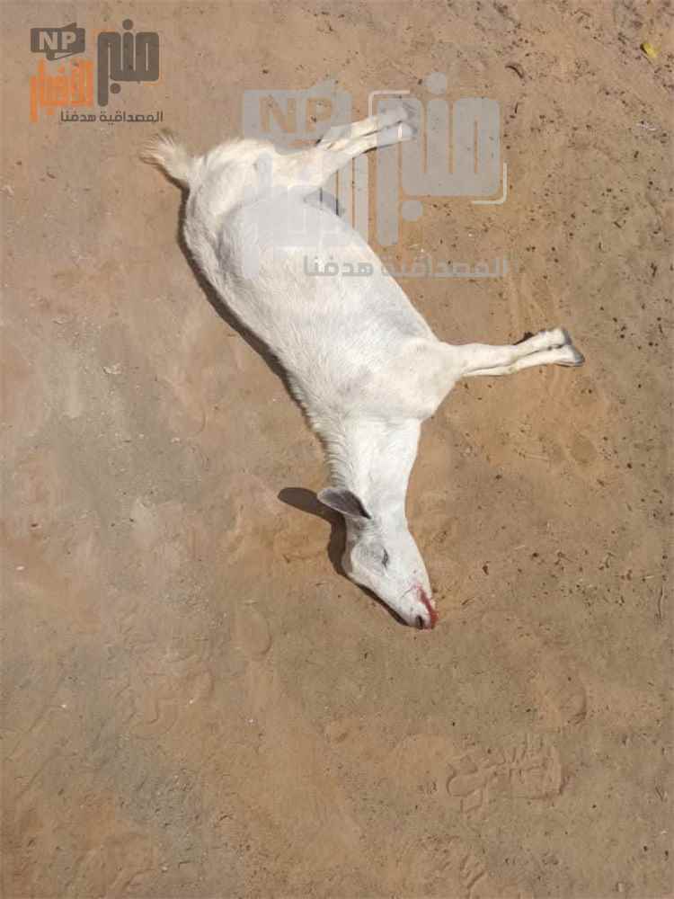 عاجل:مسيّرات ح<وثية تُوقع خسائر في ممتلكات المواطنين بمحافظة حجة(صور محزنة)