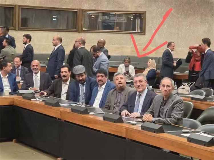 عاجل:فضيحة الح~وثي في سويسرا.. منى صفوان ضمن 