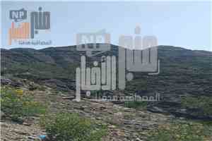 عاجل:إليكم تفاصيل ماحدث في جبهة الأقروض بتعز حتى الآن وماعلاقتها بسامع