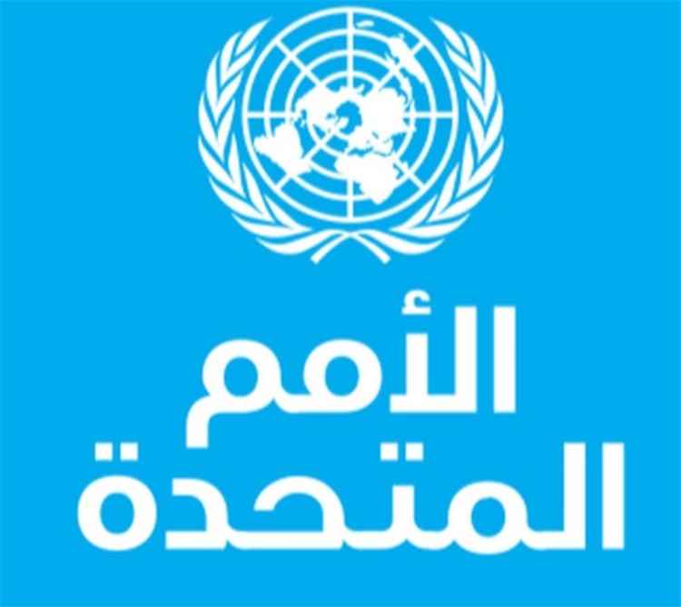 الأمم المتحدة تؤكد استحالة تقديم المساعدات في المناطق الخاضعة لسيطرة الحو..ثي.