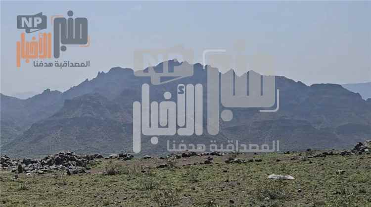 عاجل:الجيش يستعيد جبل النعمان ويلتحم بجبهة الكدحة.. وتغيّر ميداني لافت في جبهة تعز
