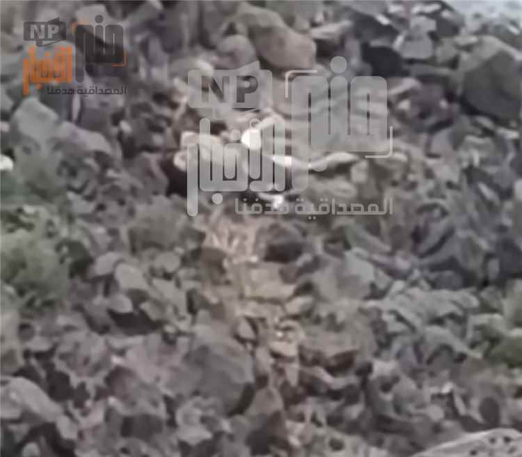 مصرع قيادي ح~وثي في جبل البازلة وارتفاع قتلى المل~يشيا في جبهة الأغبرة
