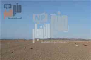 عاجل:شاهد أول صورة..لأبطال القوات المسلحة الجنوبية من سواحل باب المندب