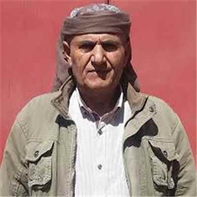 محمد عباس ناجي الضالعي
